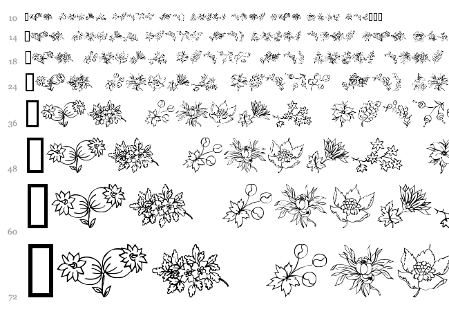 Traditional Floral Design font waterfall